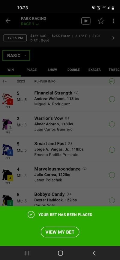 Screenshot_20231219-102357_DK Horse.jpg